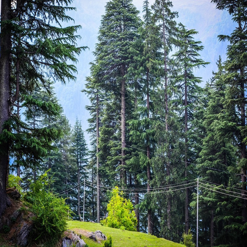 Dharamshala from Delhi